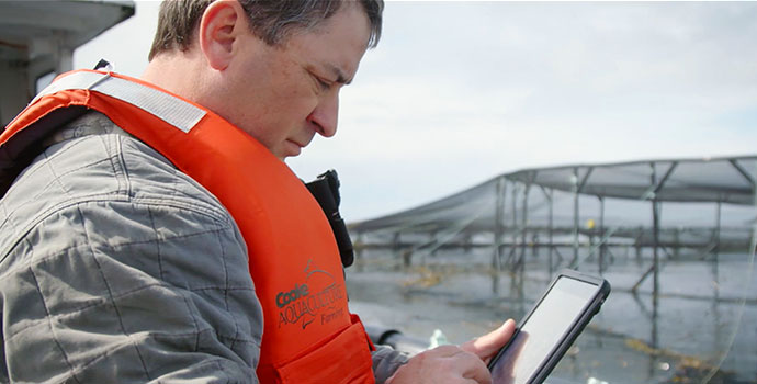 Cooke Aquaculture worker inspecting fish farm with tablet